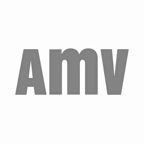 AMV ASSURANCE